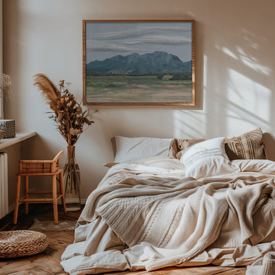 Veiled In Shadows, Rooted In Vines, Stellenbosch, South Africa - Stretched Canvas, Poster or Fine Art Print I Heart Wall Art