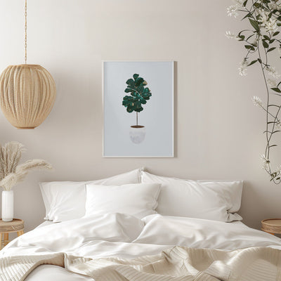 Fiddle leaf fig - Stretched Canvas, Poster or Fine Art Print I Heart Wall Art
