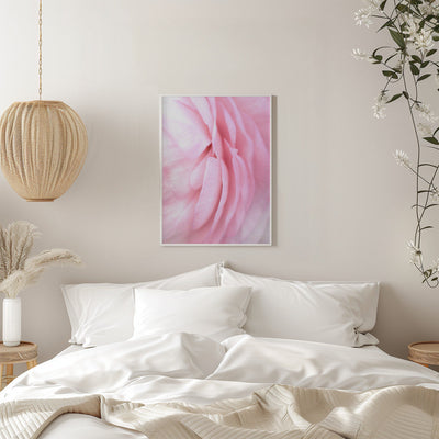 Soft pink petals - Stretched Canvas, Poster or Fine Art Print I Heart Wall Art