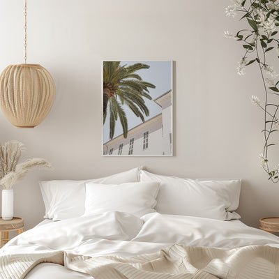 Tropical Menton - Stretched Canvas, Poster or Fine Art Print I Heart Wall Art