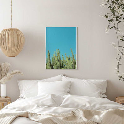 Cactus Reaching for the Sky - Stretched Canvas, Poster or Fine Art Print I Heart Wall Art