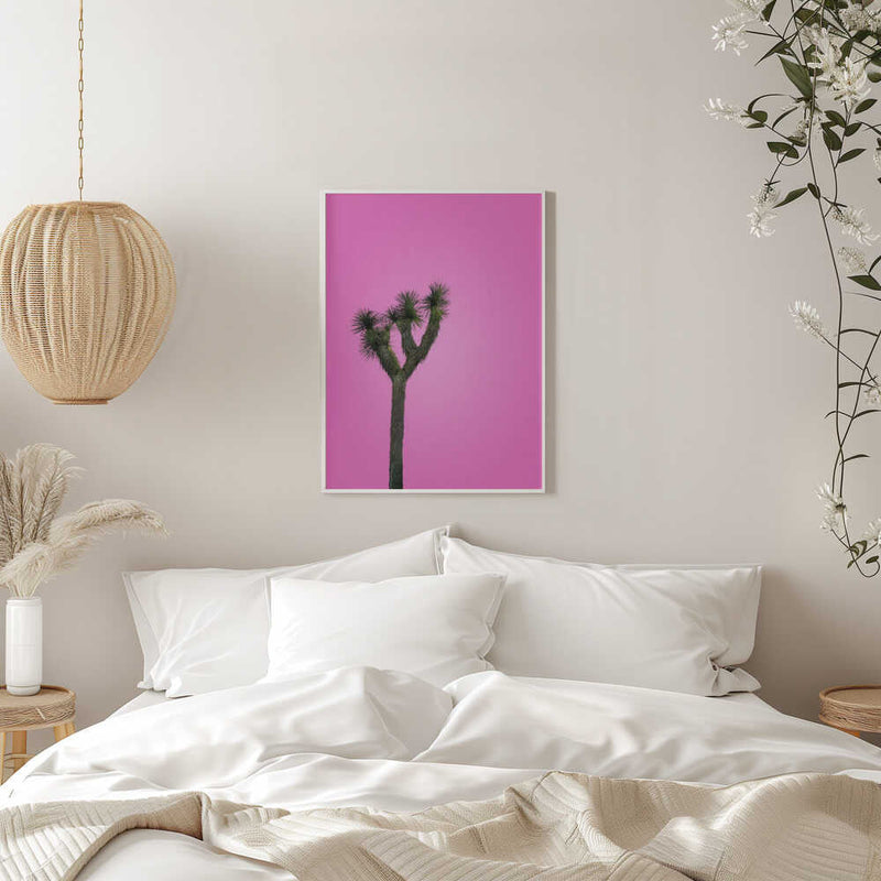 Joshua Tree with Pink Sky - Stretched Canvas, Poster or Fine Art Print I Heart Wall Art