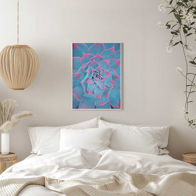 Blue and Pink Succulent - Stretched Canvas, Poster or Fine Art Print I Heart Wall Art