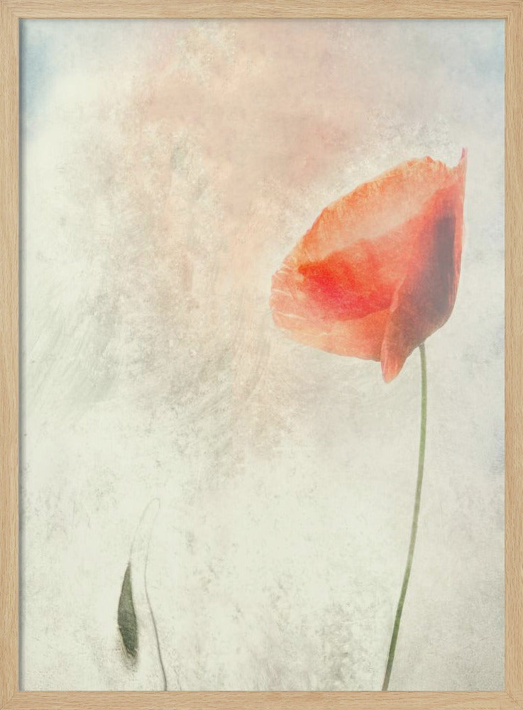 We should not sleep... - Stretched Canvas, Poster or Fine Art Print I Heart Wall Art