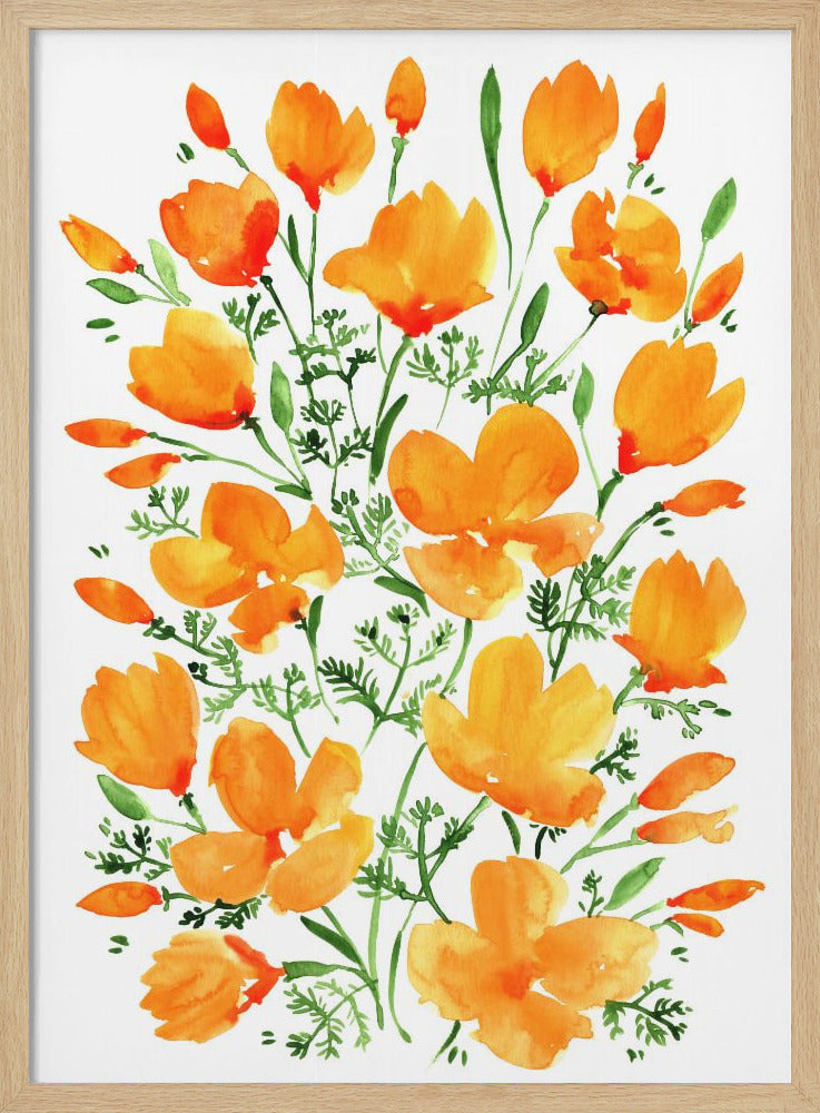 Watercolor California poppies - Stretched Canvas, Poster or Fine Art Print I Heart Wall Art