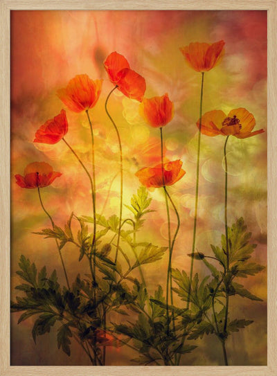 Fire - Stretched Canvas, Poster or Fine Art Print I Heart Wall Art