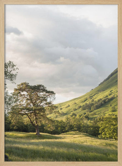 Into the Highlands - Stretched Canvas, Poster or Fine Art Print I Heart Wall Art
