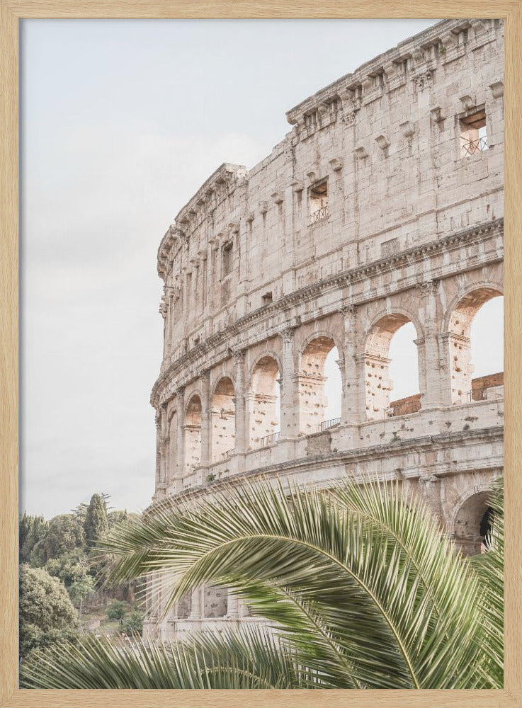 Colosseum - Stretched Canvas, Poster or Fine Art Print I Heart Wall Art