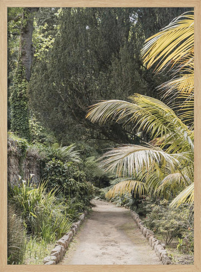 Tropical Walk - Stretched Canvas, Poster or Fine Art Print I Heart Wall Art
