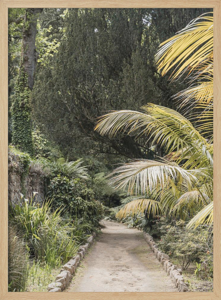 Tropical Walk - Stretched Canvas, Poster or Fine Art Print I Heart Wall Art