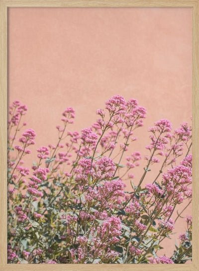 Summer Flowers - Stretched Canvas, Poster or Fine Art Print I Heart Wall Art