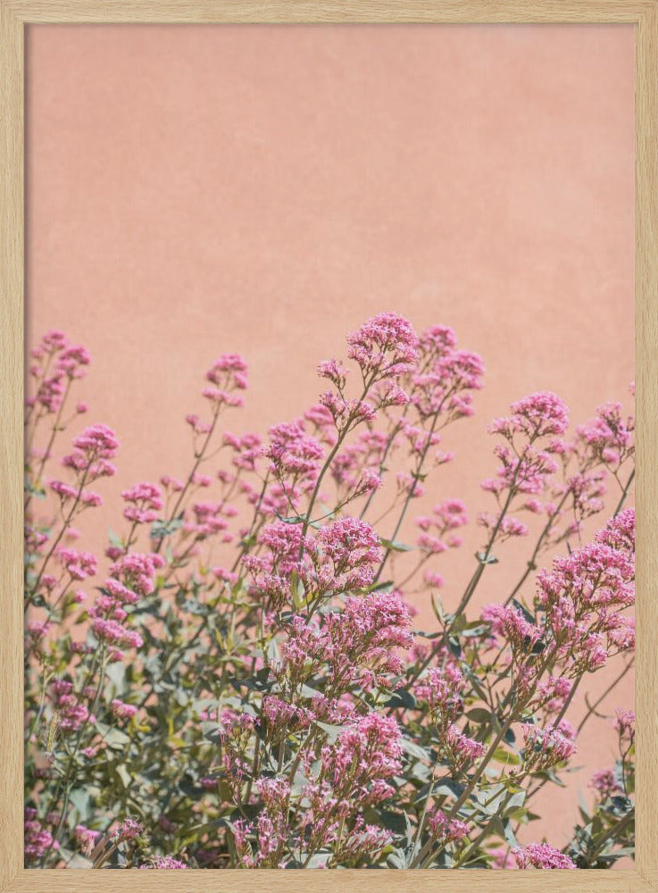 Summer Flowers - Stretched Canvas, Poster or Fine Art Print I Heart Wall Art