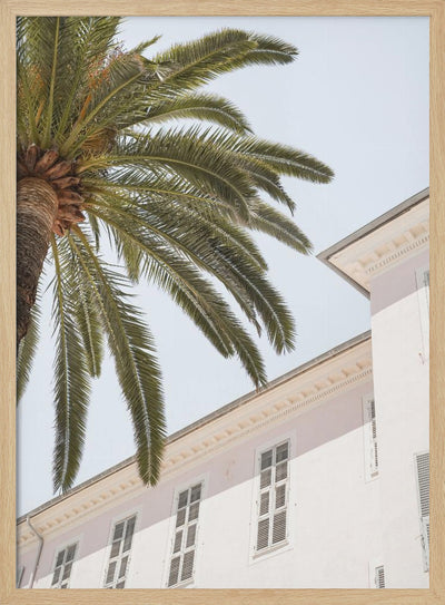 Tropical Menton - Stretched Canvas, Poster or Fine Art Print I Heart Wall Art