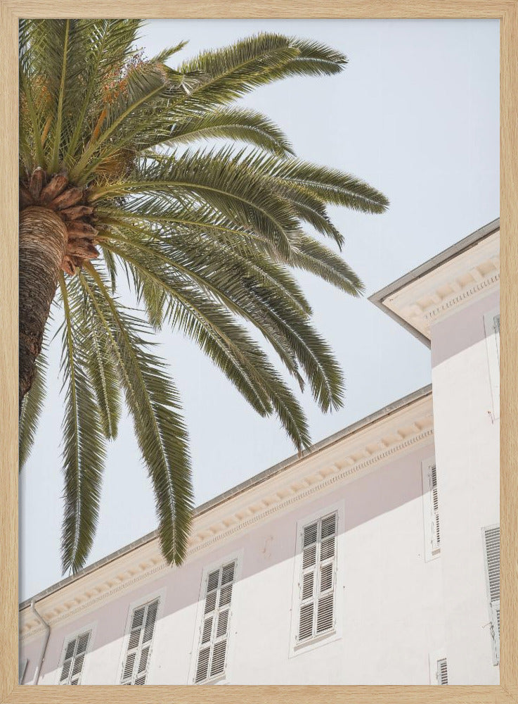 Tropical Menton - Stretched Canvas, Poster or Fine Art Print I Heart Wall Art