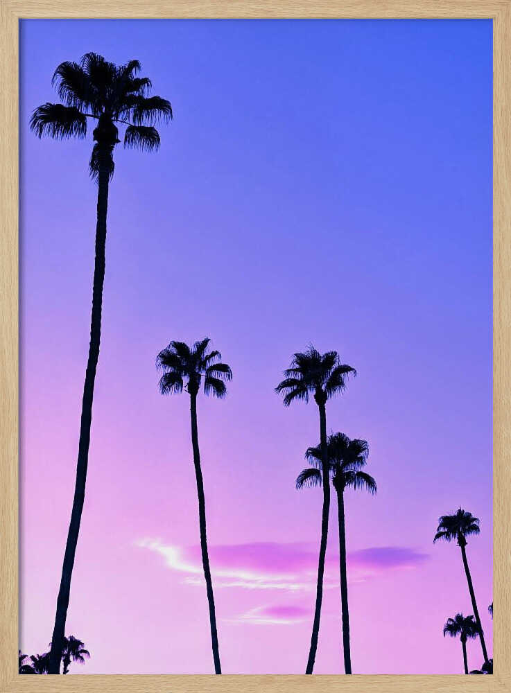 Palm Tree Sunset - Stretched Canvas, Poster or Fine Art Print I Heart Wall Art