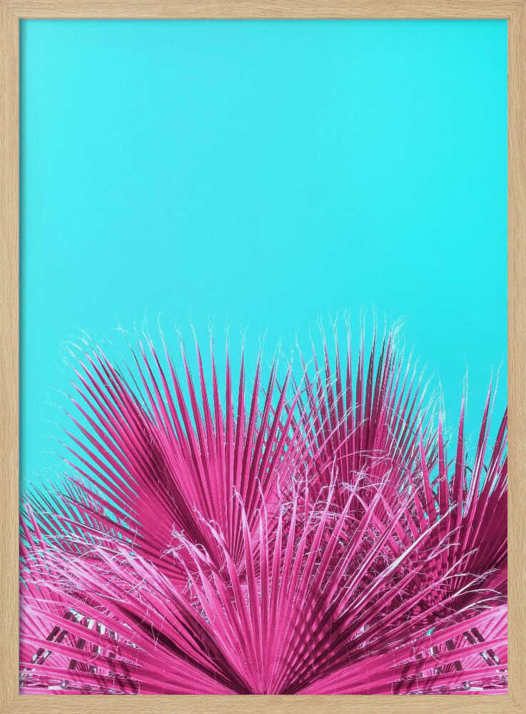Electric Pink Palm Fronds - Stretched Canvas, Poster or Fine Art Print I Heart Wall Art