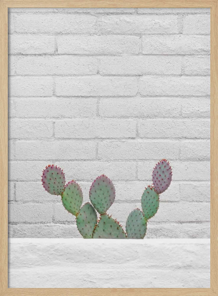 Stay Sharp - Stretched Canvas, Poster or Fine Art Print I Heart Wall Art
