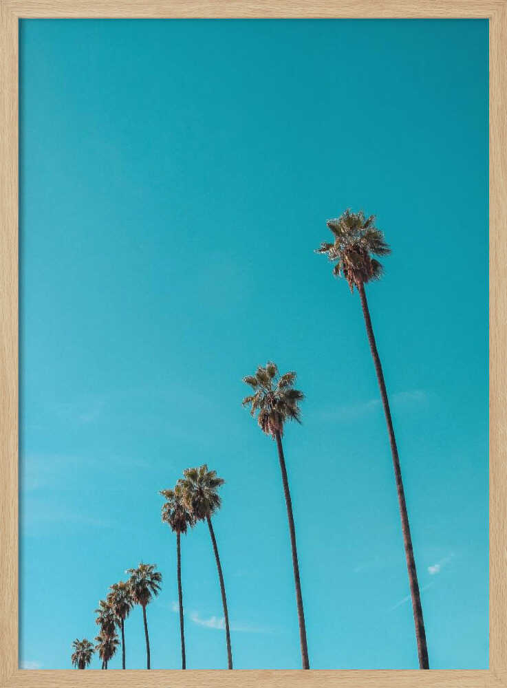 Skydusters - Stretched Canvas, Poster or Fine Art Print I Heart Wall Art