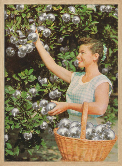 Disco Ball Grove - Stretched Canvas, Poster or Fine Art Print I Heart Wall Art