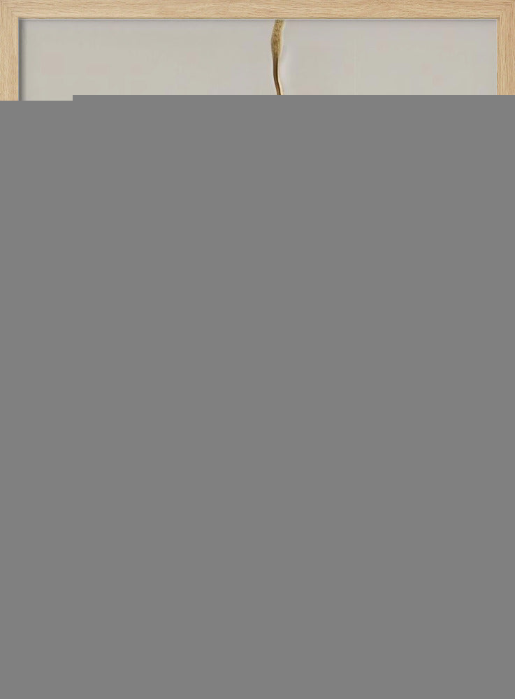 Cut II - Stretched Canvas, Poster or Fine Art Print I Heart Wall Art