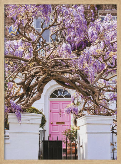 Wisteria Dreams - Stretched Canvas, Poster or Fine Art Print I Heart Wall Art