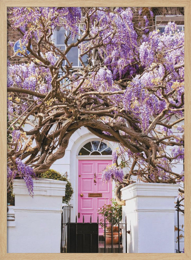 Wisteria Dreams - Stretched Canvas, Poster or Fine Art Print I Heart Wall Art