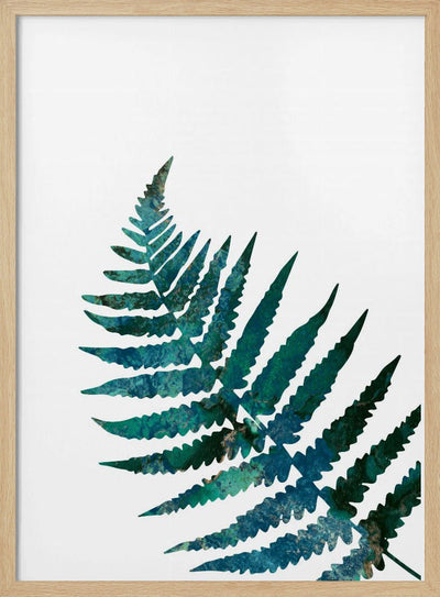 Watercolour fern - Stretched Canvas, Poster or Fine Art Print I Heart Wall Art