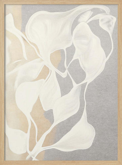 Whispers in White - Stretched Canvas, Poster or Fine Art Print I Heart Wall Art