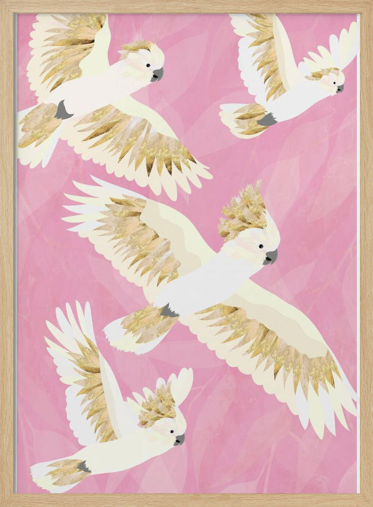 Cockatoos flying - Stretched Canvas, Poster or Fine Art Print I Heart Wall Art