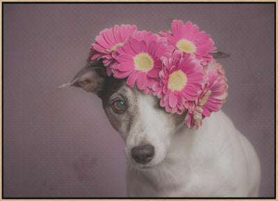 Mrs. Spring - Stretched Canvas, Poster or Fine Art Print I Heart Wall Art