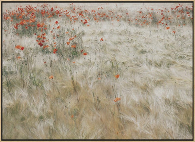 Summerfield - Stretched Canvas, Poster or Fine Art Print I Heart Wall Art