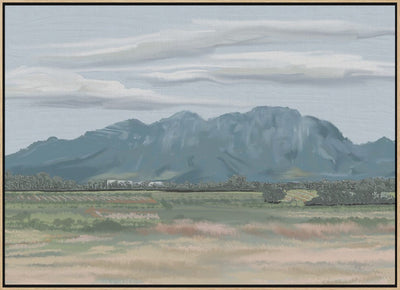 Veiled In Shadows, Rooted In Vines, Stellenbosch, South Africa - Stretched Canvas, Poster or Fine Art Print I Heart Wall Art