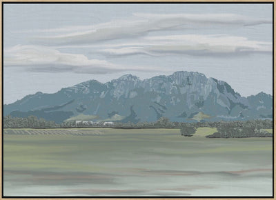 &#039;Veiled In Shadows, Rooted In Vines&#039;, Stellenbosch, South Africa - Stretched Canvas, Poster or Fine Art Print I Heart Wall Art