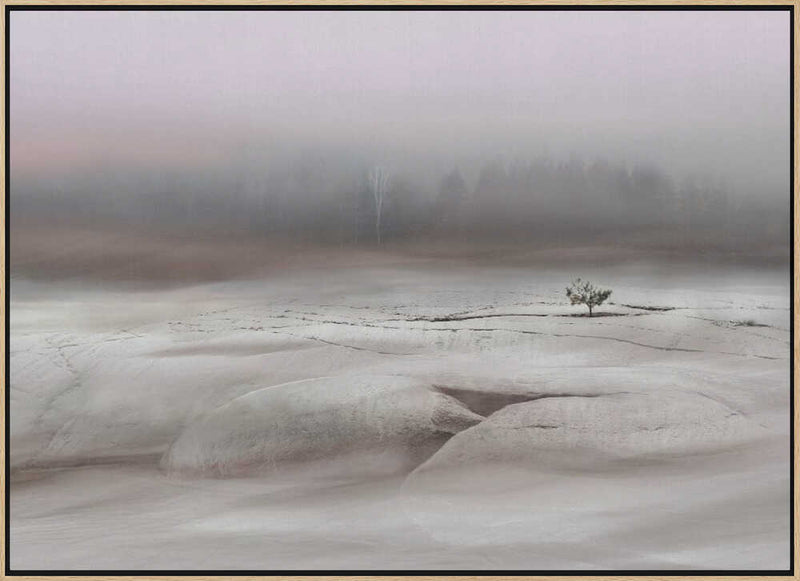 Solitude in White - Stretched Canvas, Poster or Fine Art Print