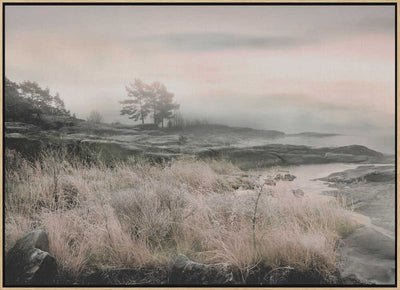 Morning Frost - Stretched Canvas, Poster or Fine Art Print