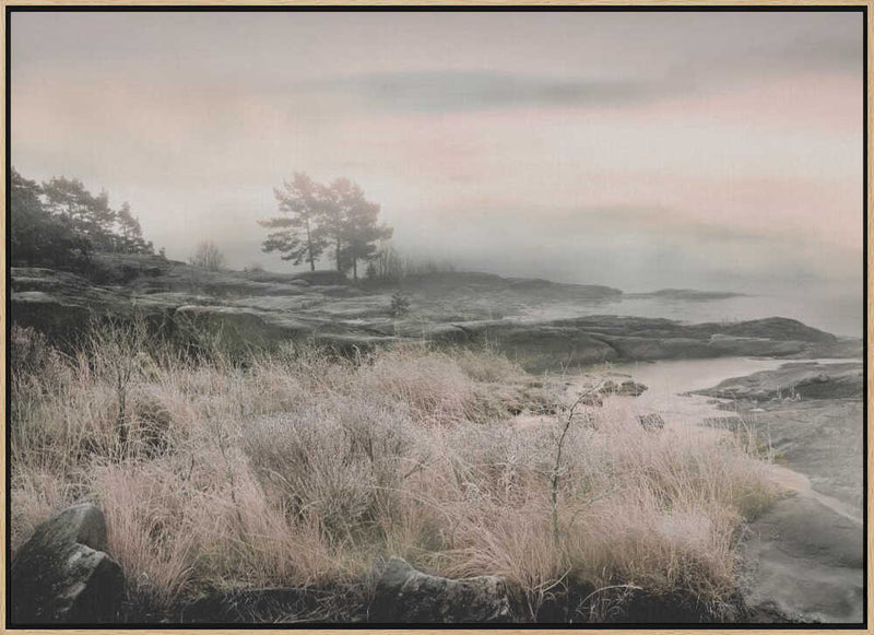 Morning Frost - Stretched Canvas, Poster or Fine Art Print