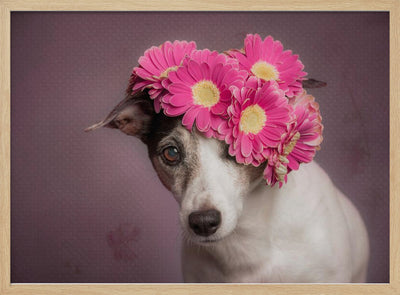 Mrs. Spring - Stretched Canvas, Poster or Fine Art Print I Heart Wall Art