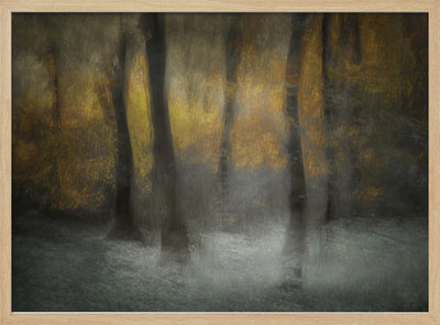 Dancing Trees - Stretched Canvas, Poster or Fine Art Print I Heart Wall Art