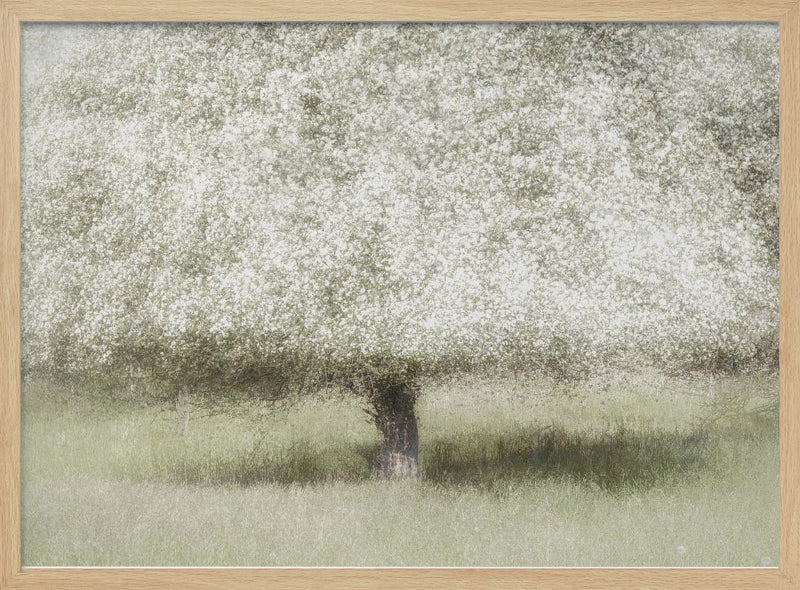 In the backyard - Stretched Canvas, Poster or Fine Art Print I Heart Wall Art