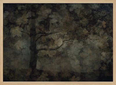 Dark forest - Stretched Canvas, Poster or Fine Art Print I Heart Wall Art
