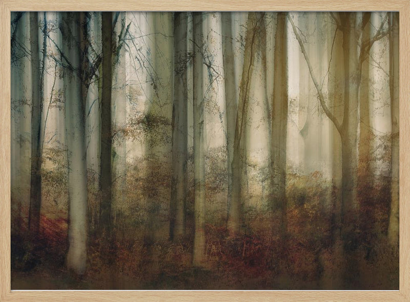 Autumn light - Stretched Canvas, Poster or Fine Art Print I Heart Wall Art
