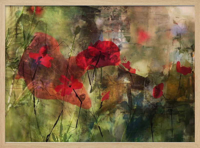 Poppies - Stretched Canvas, Poster or Fine Art Print I Heart Wall Art