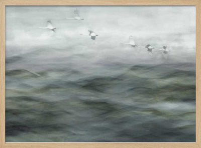 Swan Lake - Stretched Canvas, Poster or Fine Art Print