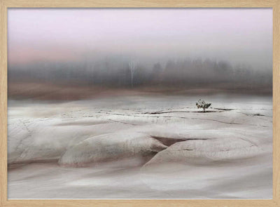 Solitude in White - Stretched Canvas, Poster or Fine Art Print