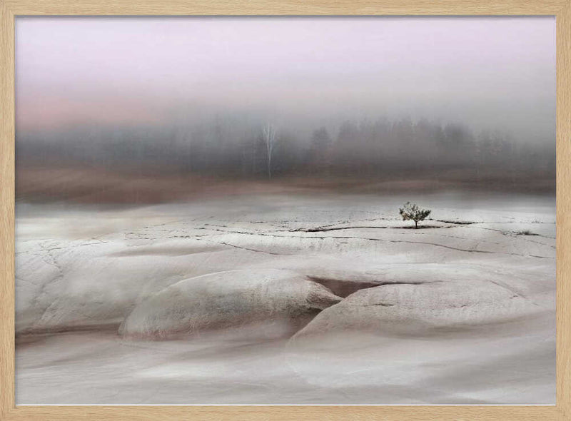 Solitude in White - Stretched Canvas, Poster or Fine Art Print