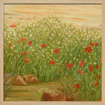 Daisies and  Poppies - Square Stretched Canvas, Poster or Fine Art Print I Heart Wall Art