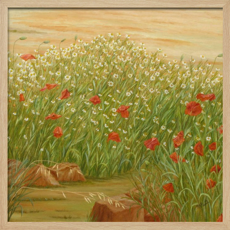 Daisies and  Poppies - Square Stretched Canvas, Poster or Fine Art Print I Heart Wall Art
