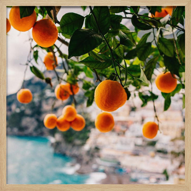 Amalfi Coast Oranges - Square Stretched Canvas, Poster or Fine Art Print I Heart Wall Art