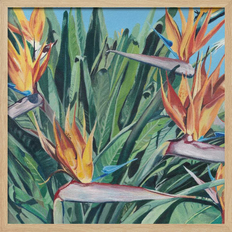 Stelitzia 3 By Viccy Wanliss - Square Stretched Canvas, Poster or Fine Art Print