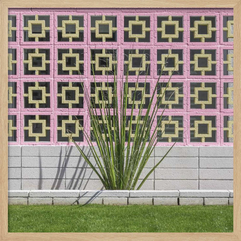 Mid-Century Breeze Block Wall with Cactus in Palm Springs, California - Square Stretched Canvas, Poster or Fine Art Print I Heart Wall Art